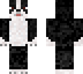 preview for Baxter The Boston Terrier