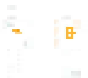 preview for BitAccess Inc Software Skin BTM