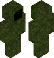 preview for Camouflage