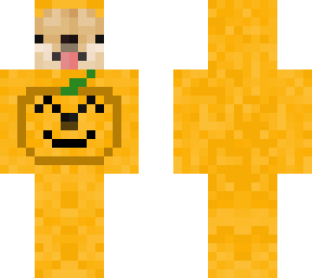 preview for Doge in pumpkin costume