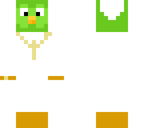 preview for Duolingo pope