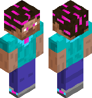 preview for EVO STEVE1