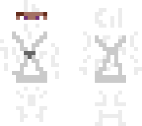 preview for Frozen ninja