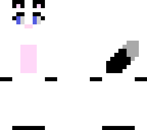 preview for Gracie the cat