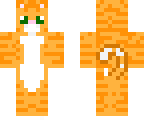 preview for orange kitten
