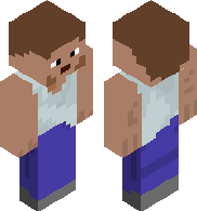 preview for Pro Skin of Minecraft