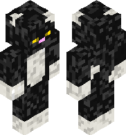 preview for shadow the tuxedo cat