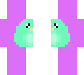 preview for SHOUT OUT TO COCONUT OWL