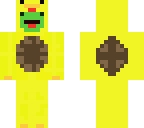 preview for The Duck Turtle