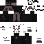 skin for 