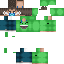 skin for 
