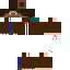 skin for 1.21.10.01