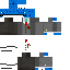 skin for 809670