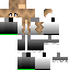 skin for a normal skin