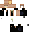 skin for A r i D recreation OC