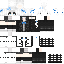 skin for aa