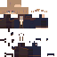 skin for aaa