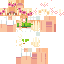 skin for aaaa