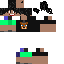 skin for aaron