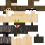 skin for Agent skin duck skin