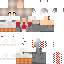 skin for Ally