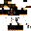 skin for ameerOMG POTTER v2