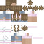 skin for Amelkqq