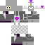 skin for Amethyst Knight
