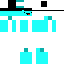 skin for Aqua derp with hat