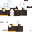 skin for Arctic or Antarctic