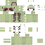 skin for asadfga