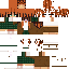 skin for asmelleay v45