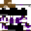 skin for Assassin Purple