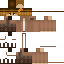 skin for aventurero
