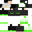 skin for B8C skinfan