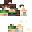 skin for baa