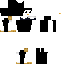skin for Backwards Penguin