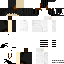 skin for baggy