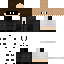 skin for BagMancave