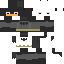 skin for Batman Duck