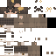skin for Bear