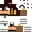skin for Bee costume