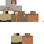 skin for beggar