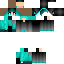skin for black and cyan skin
