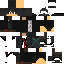 skin for black assassin