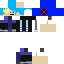 skin for blader x