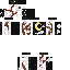 skin for bloss 2