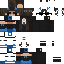 skin for Blue Agent