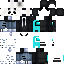 skin for Blue among us panda