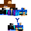 skin for Blue Warrior